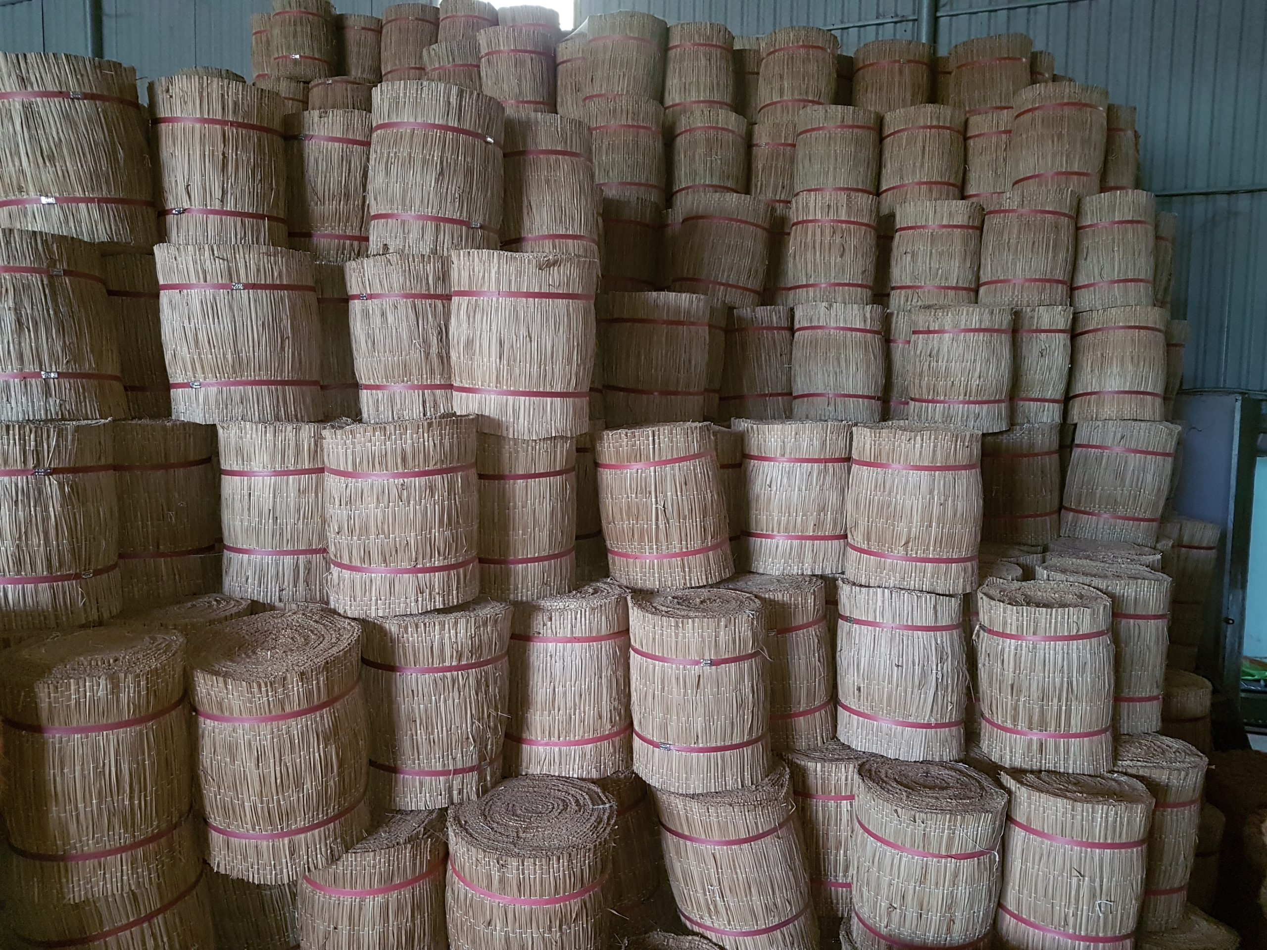 Chiếu cói - Golden Coconut - Công Ty TNHH Dừa Vàng
